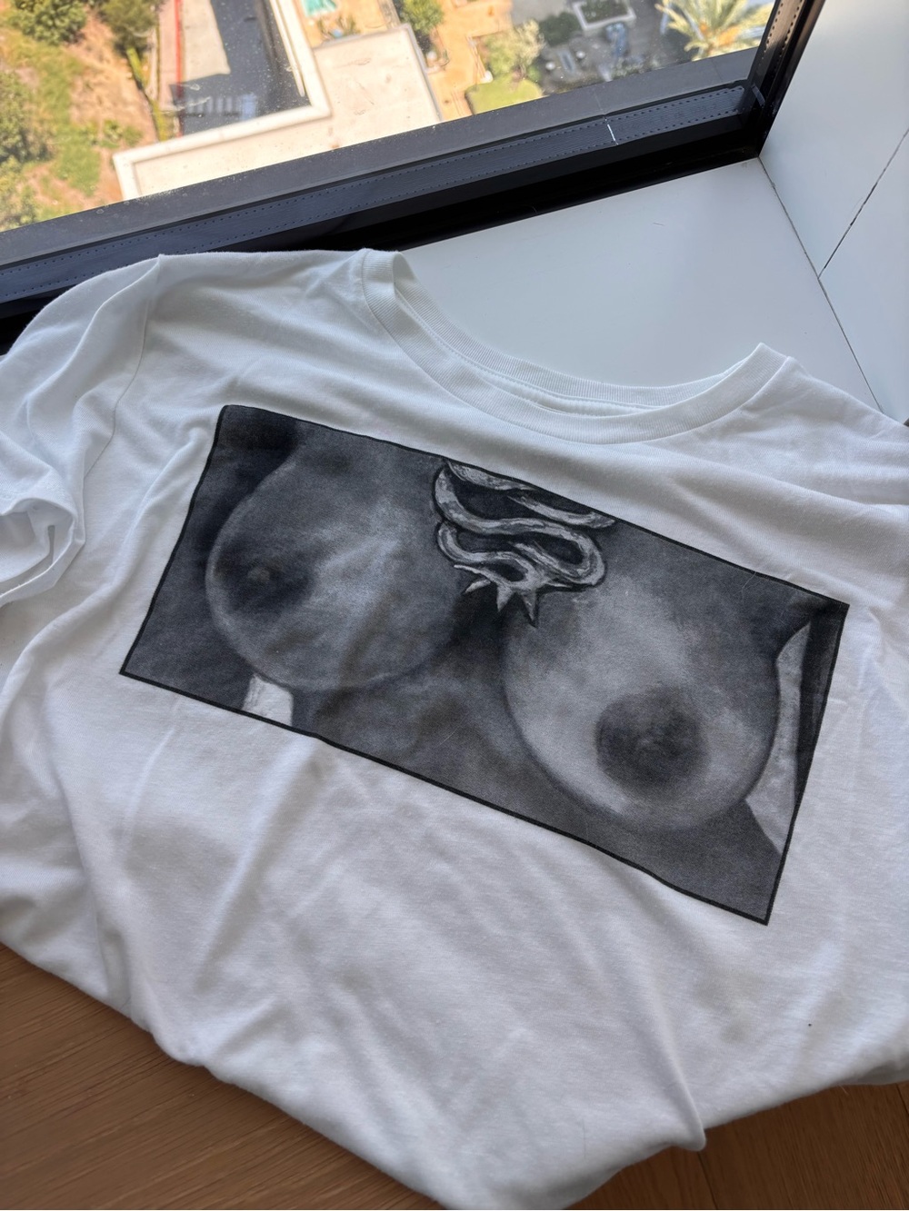 Janelle Monae Age of Pleasure - Large - Cropped White Tee